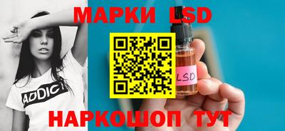 шишки Будённовск
