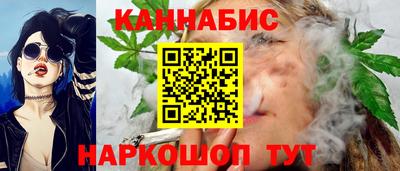 шишки Будённовск