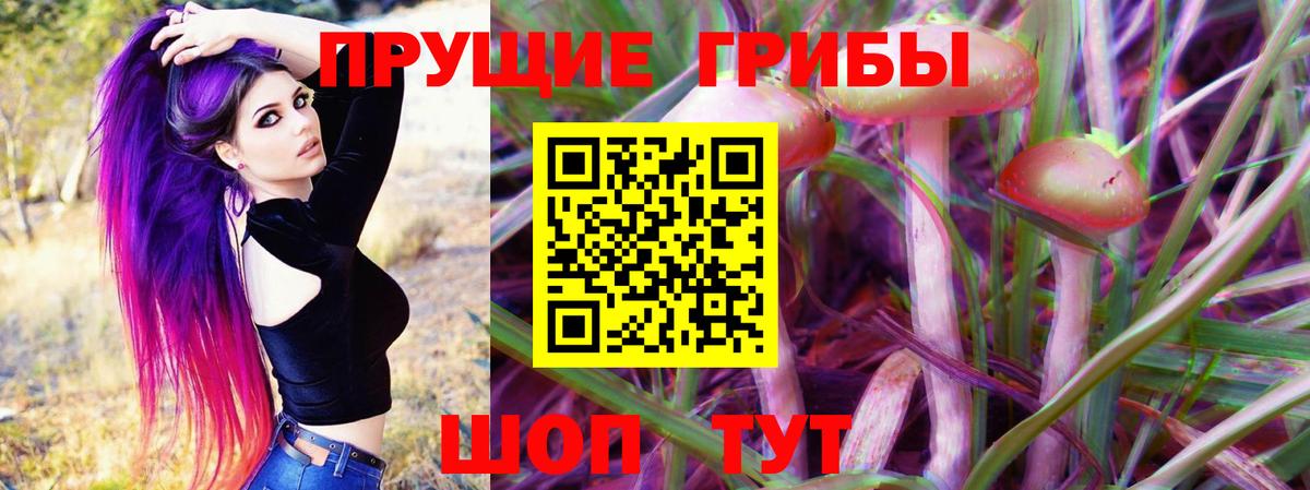 Новошахтинск  Псилоцибиновые грибы мухоморы  Вход с VPN 